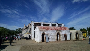 Tour Tequila Jalisco  *1 día.