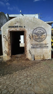 Tour Tequila Jalisco  *1 día.