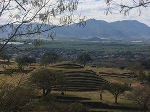 Tour Guachimontones * 1 Día.