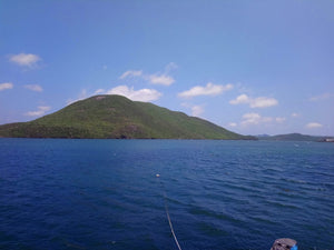 Tour Disfruta Mar y Sierra