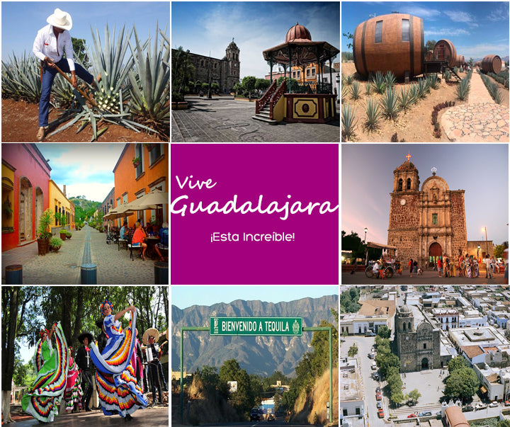 Tour Tequila Jalisco  *1 día.